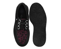 T2369 Black & Burgundy Leopard Anarchic Creeper