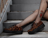 Leopard Viva Mondo Creeper - T.U.K.V3336-03
