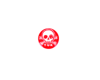P0066 Red & White Skull Logo Pin P0066-OS
