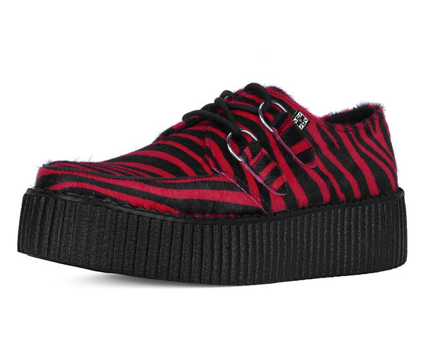 red-zebra-viva-mondo-creeper-