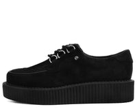 T2262 Black Faux Suede Anarchic Creeper