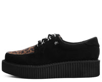 T2263 Black & Leopard Anarchic Creeper