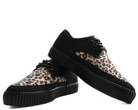Black & Leopard Tie Pointed Lace Up EZC - T.U.K.A9418-03