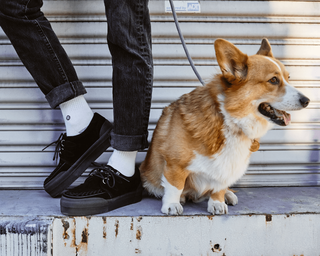 A3136 Black Suede Platform Creeper Sneaker