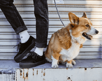 A3136 Black Suede Platform Creeper Sneaker